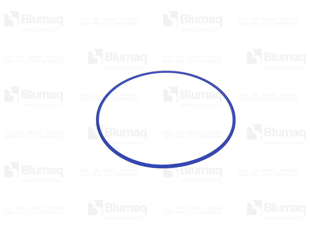 2970832 BQ RING