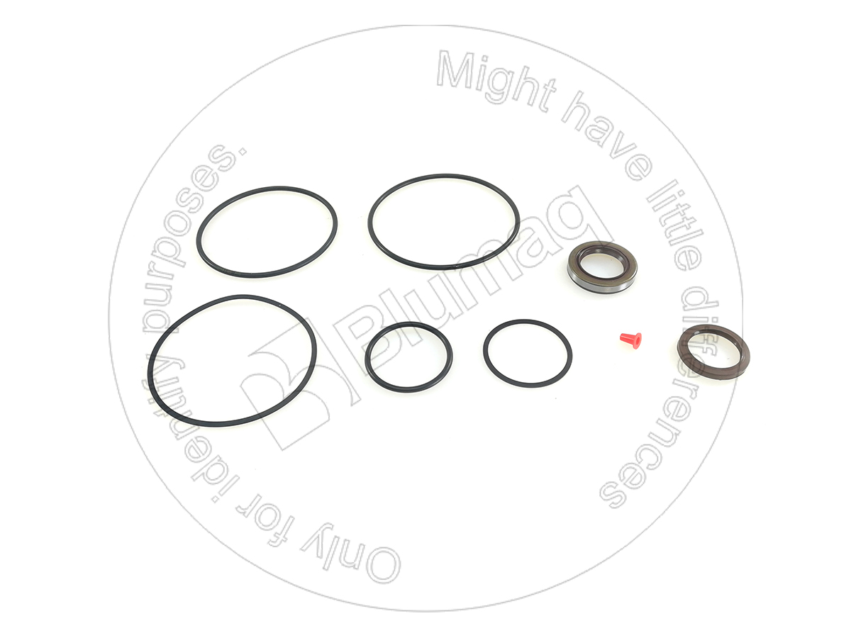 0882022 BQ КОМПЛЕКТ УПЛОТНЕНИЙ