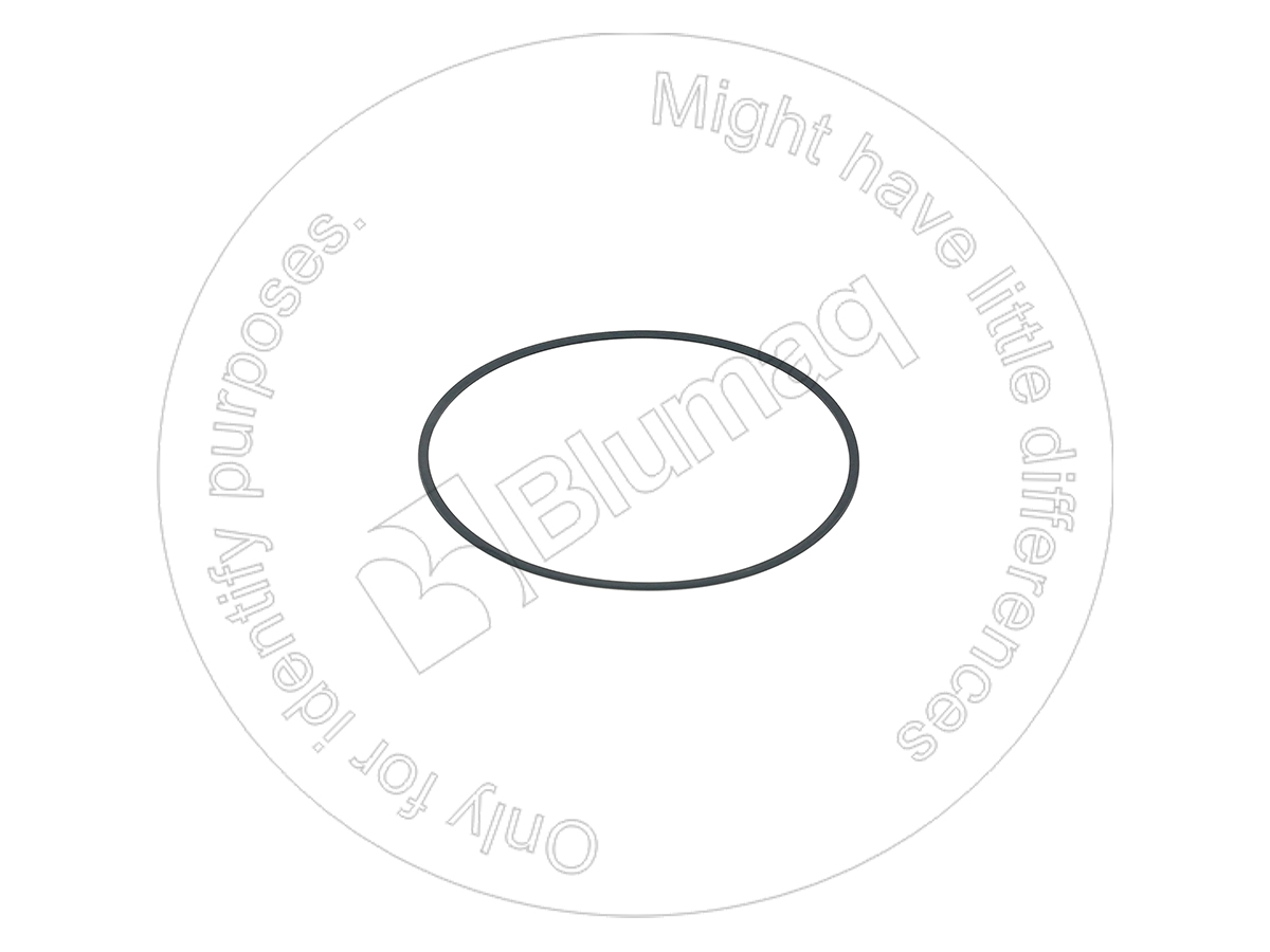 1733237 ST КОЛЬЦО КРУГЛОГО СЕЧЕНИЯ