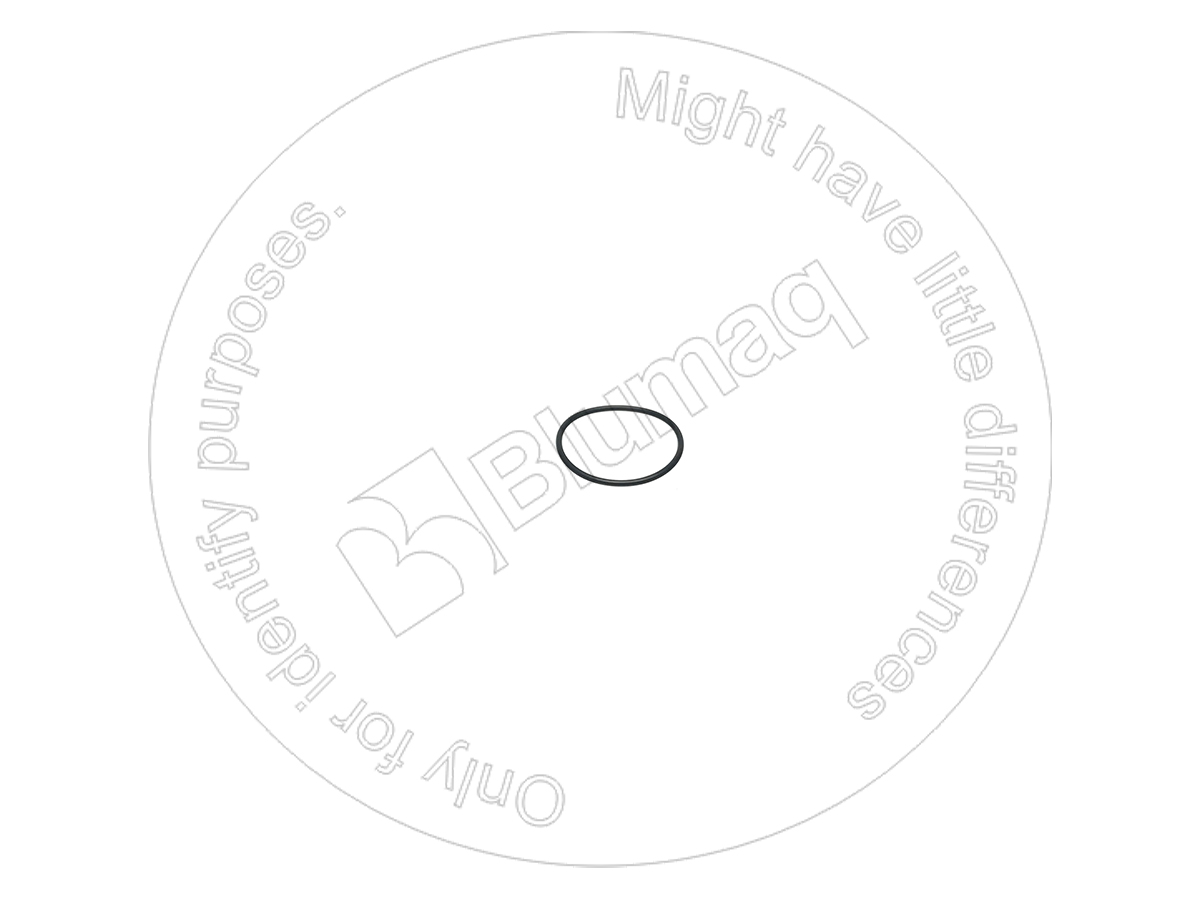 6V0894 ST КОЛЬЦО КРУГЛОГО СЕЧЕНИЯ