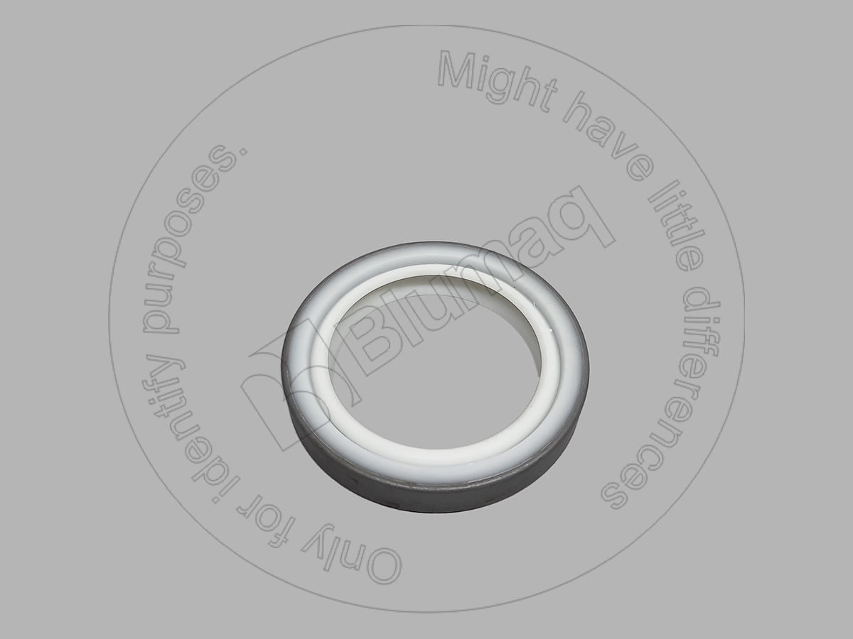 1433671 ST САЛЬНИК