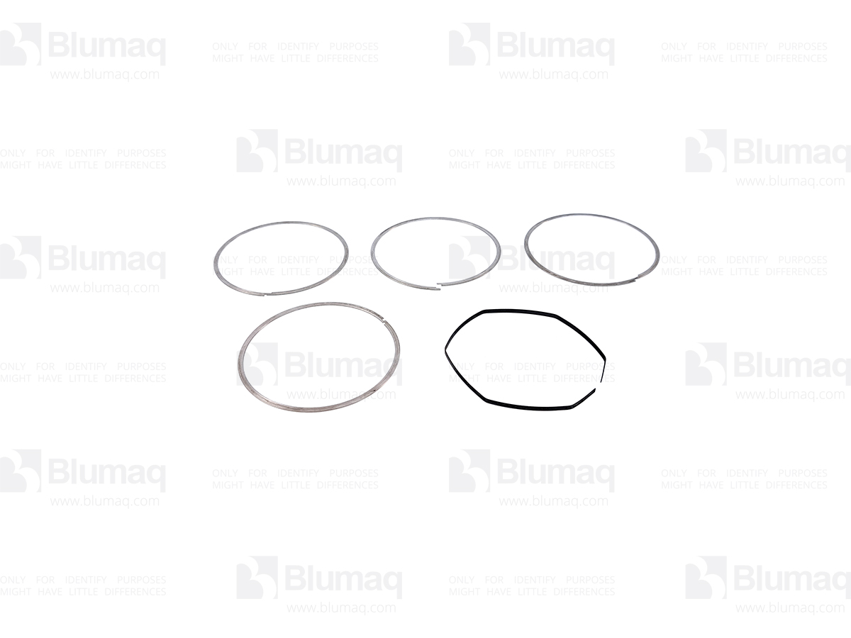 1007401 BQ НАБОР КОЛЕЦ