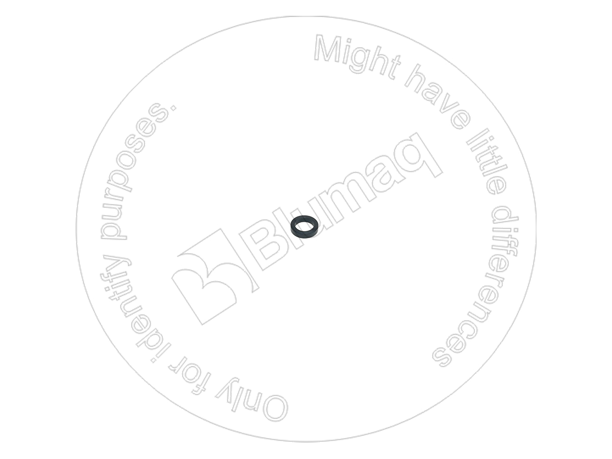 9L9099 ST ШАЙБА