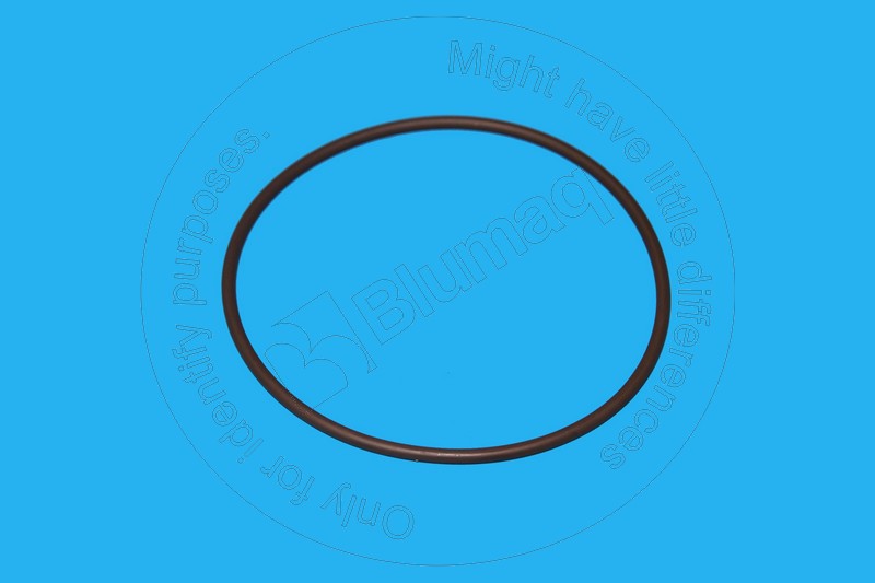 6U9599 ST КОЛЬЦО КРУГЛОГО СЕЧЕНИЯ