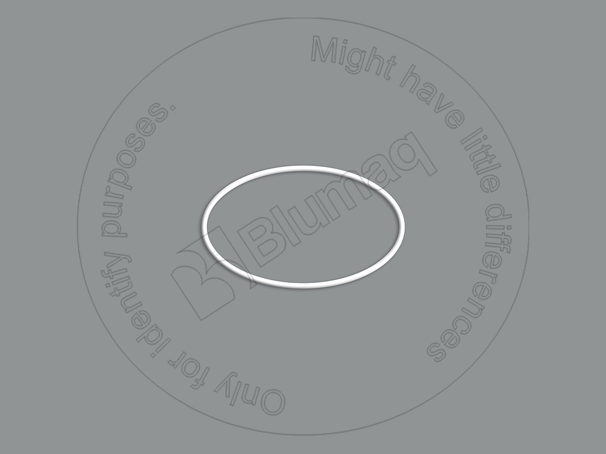 2434567 BQ ВОЗВРАТНОЕ КОЛЬЦО