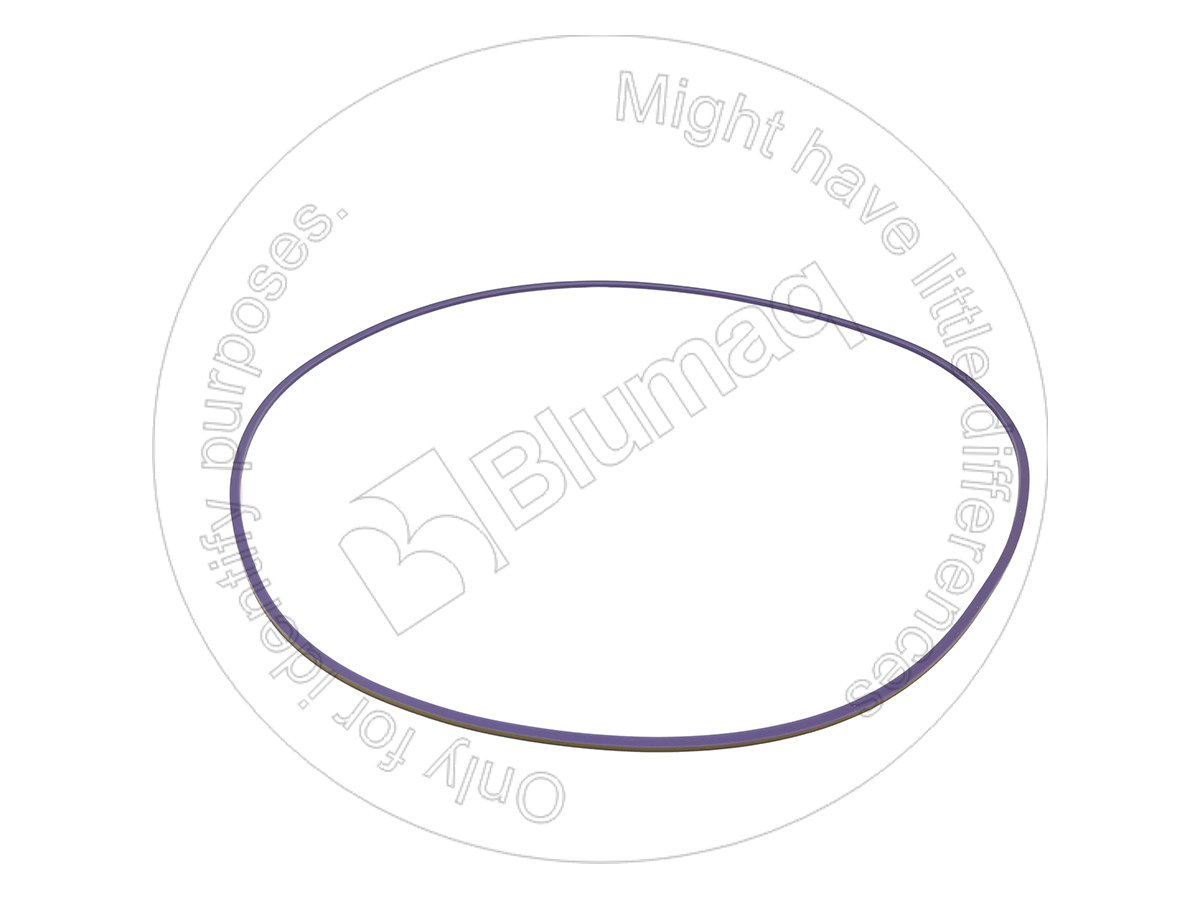 9D7991 BQ САЛЬНИК