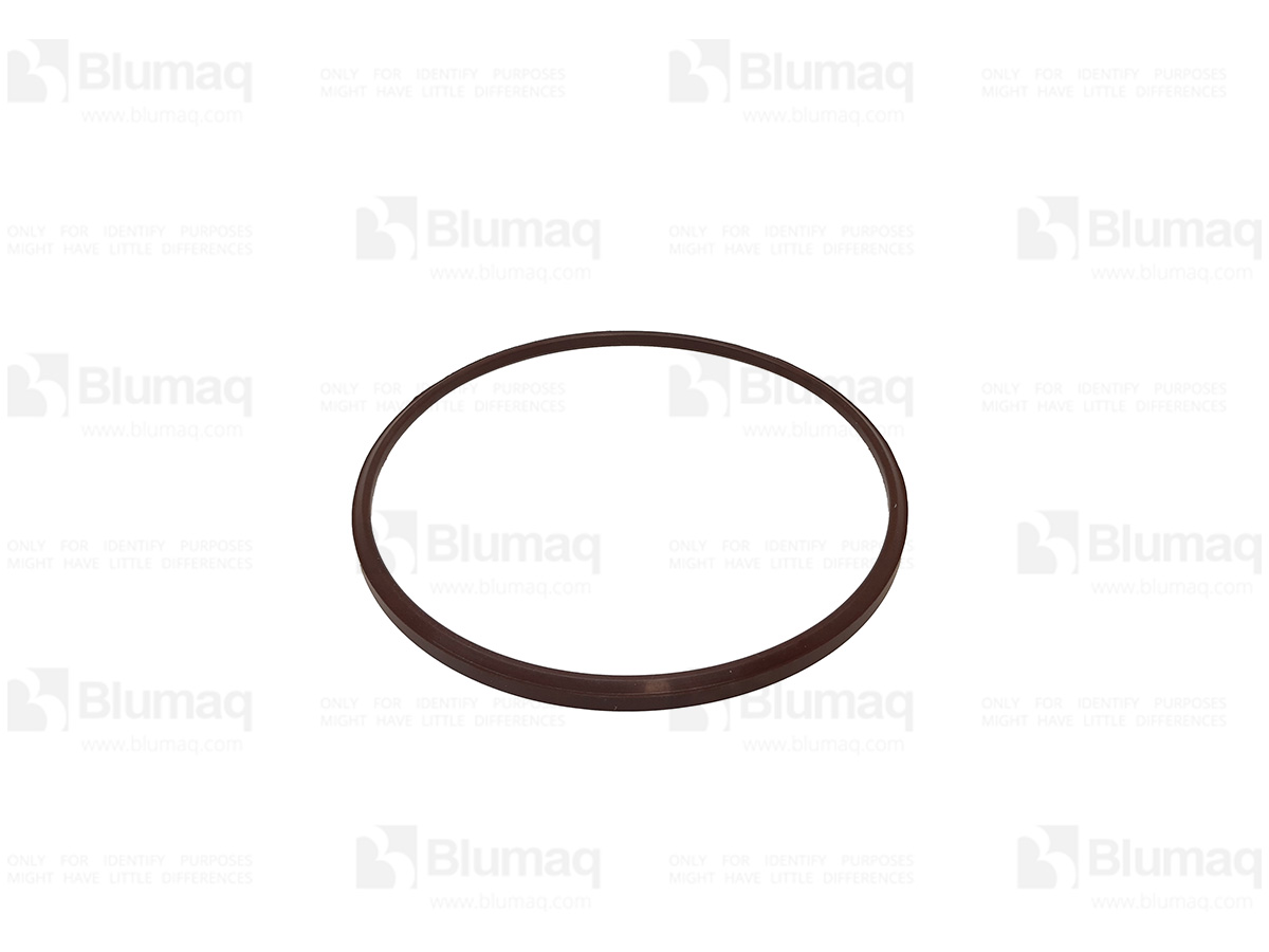 1R1065 OR КОЛЬЦО