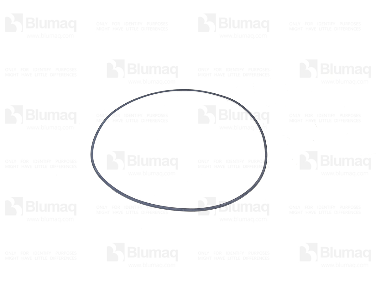 1155658 ST САЛЬНИК