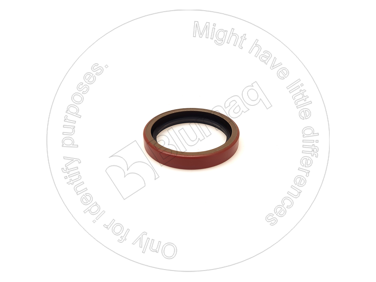 4J2683 ST САЛЬНИК