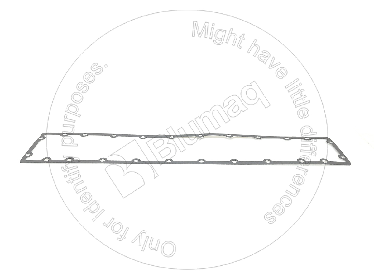 4338196 ST ПРОКЛАДКА