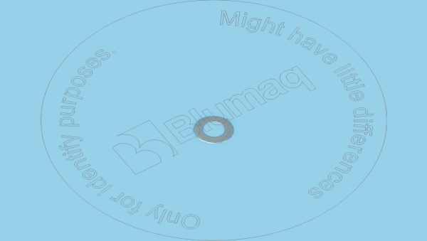 6P3910 ST ШАЙБА