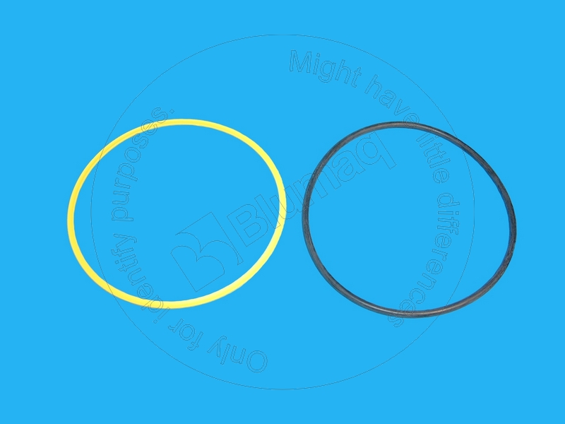 3Q7853 OR САЛЬНИК