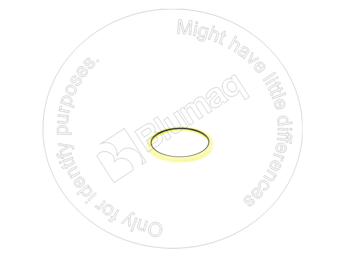 1231943 ST САЛЬНИК