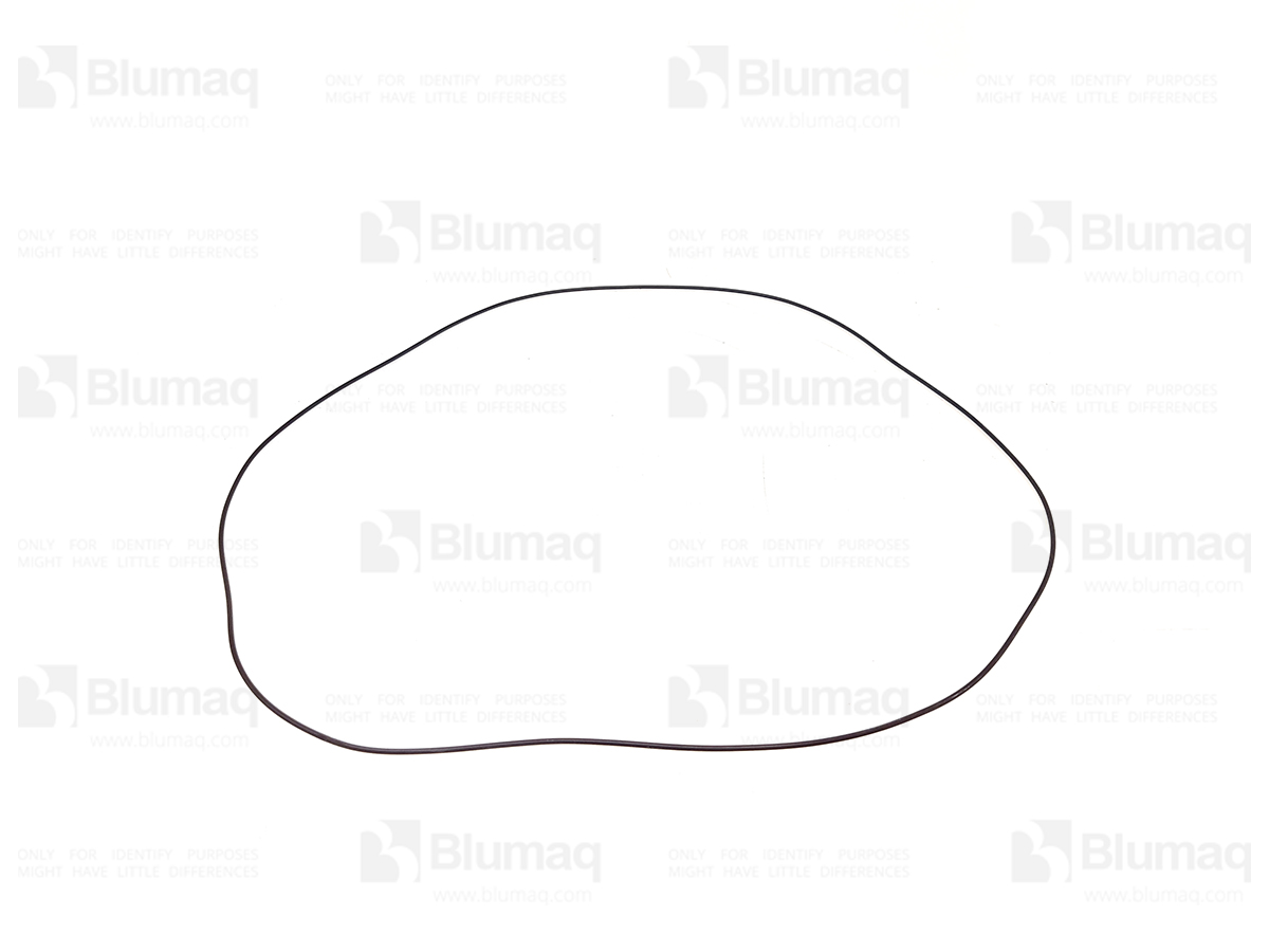 5871096 OR SEAL-O-RIN