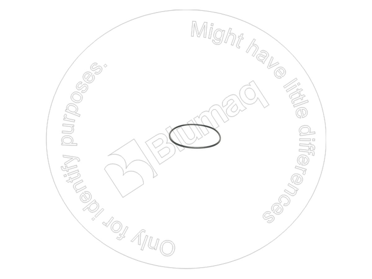 0958661 ST КОЛЬЦО КРУГЛОГО СЕЧЕНИЯ