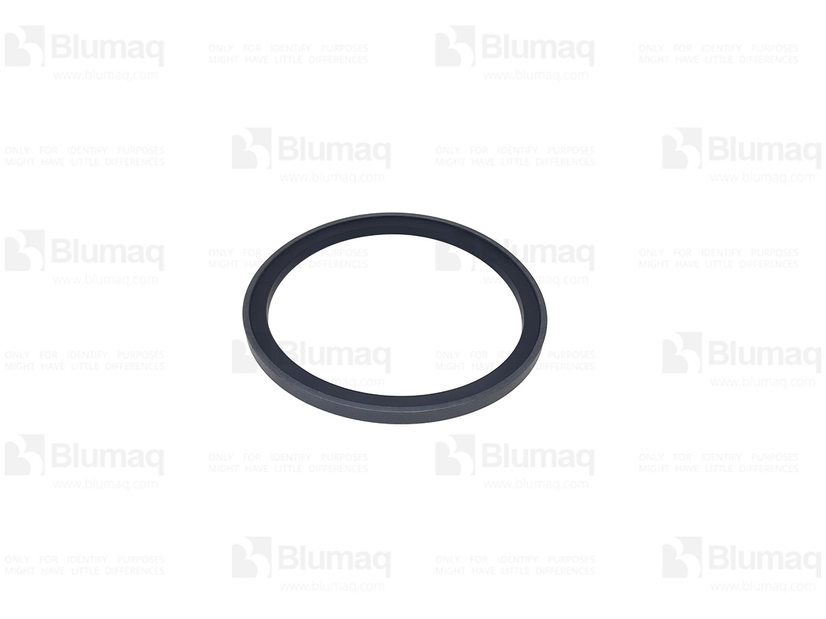 5J4997 ST САЛЬНИК