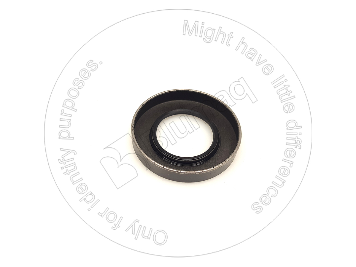 1B2257 ST САЛЬНИК