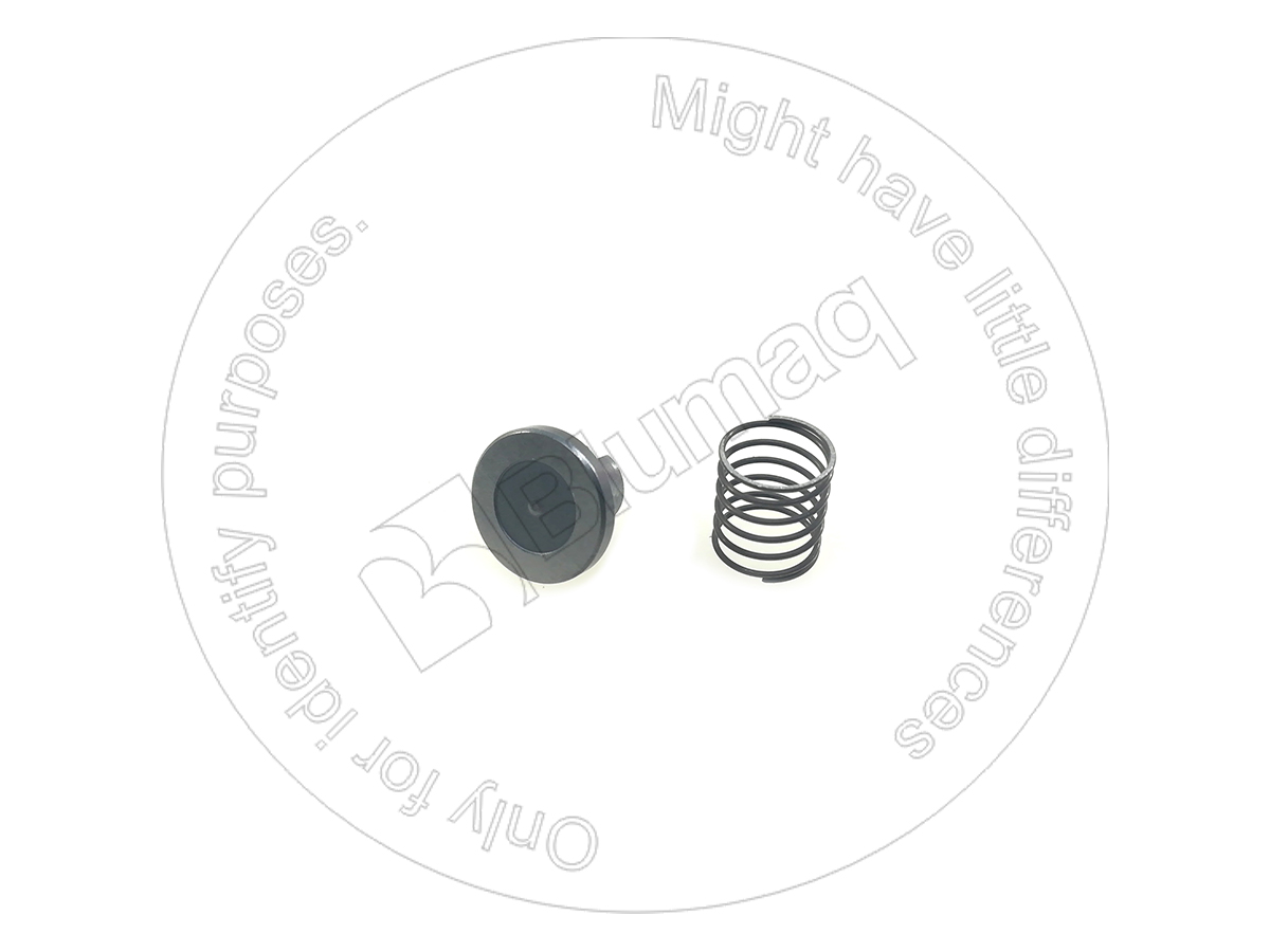 2S1631 OE КЛАПАН