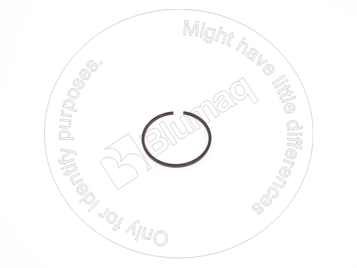 DG001.24.1514 OE САЛЬНИК