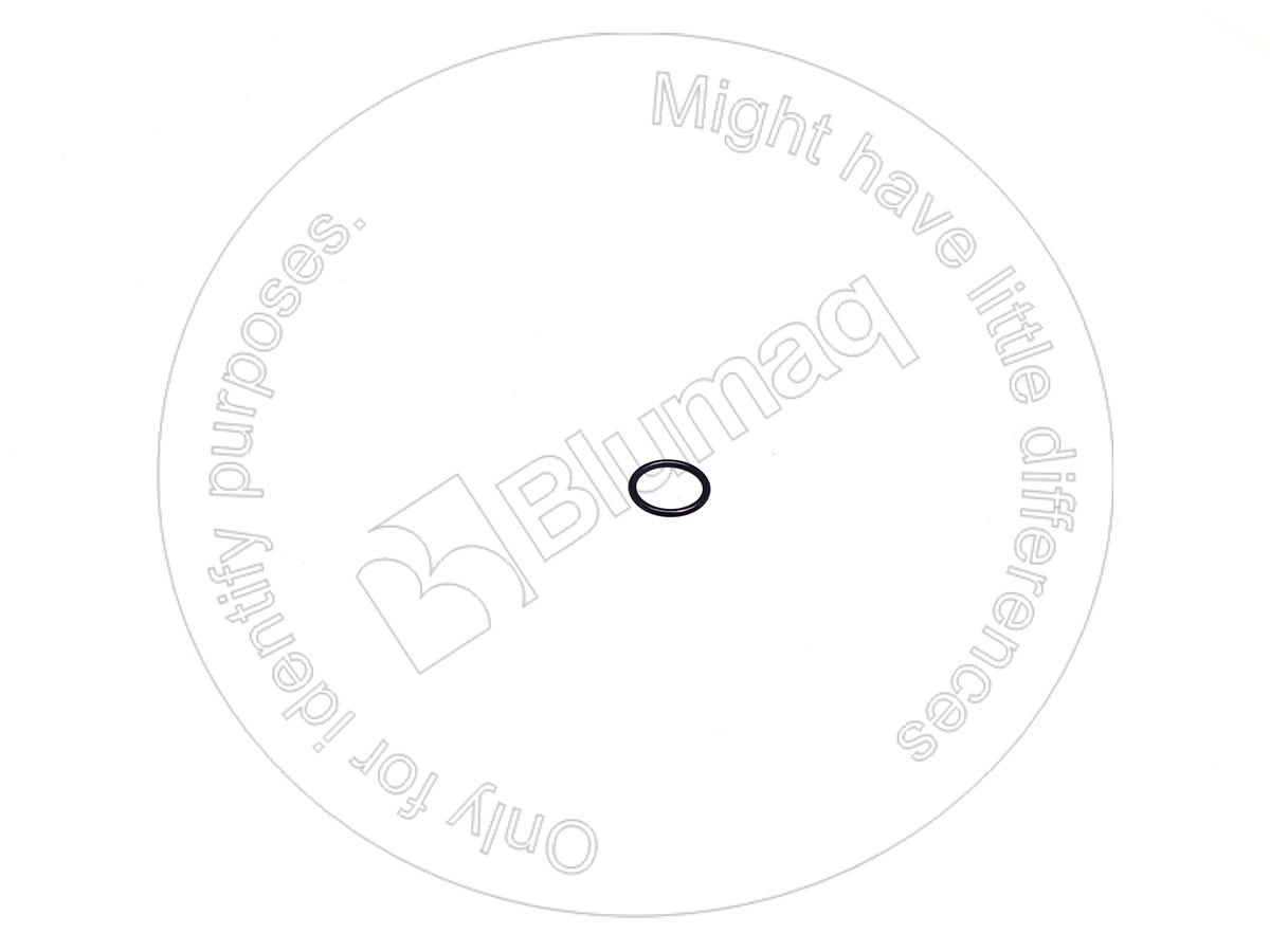 1172983 ST КОЛЬЦО КРУГЛОГО СЕЧЕНИЯ