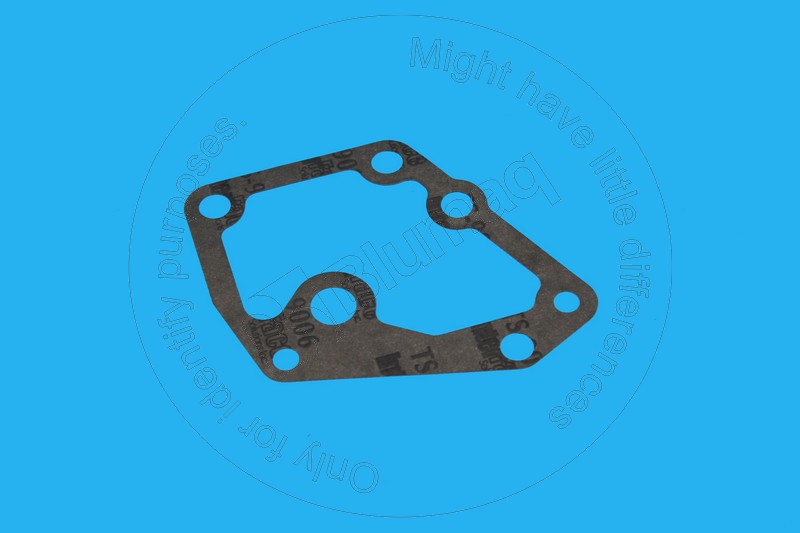 2941769 BQ ПРОКЛАДКА