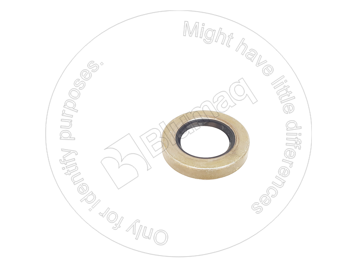 2H3910 ST САЛЬНИК