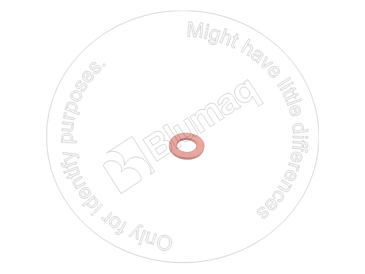 4B2479 ST ШАЙБА