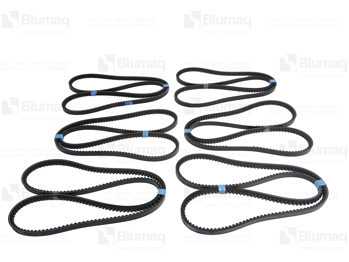 2543861 BQ V-BELT SET