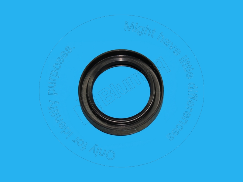 5P1825 ST САЛЬНИК