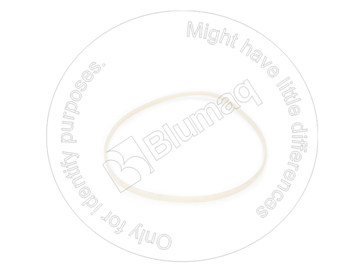 8T8377 ST САЛЬНИК