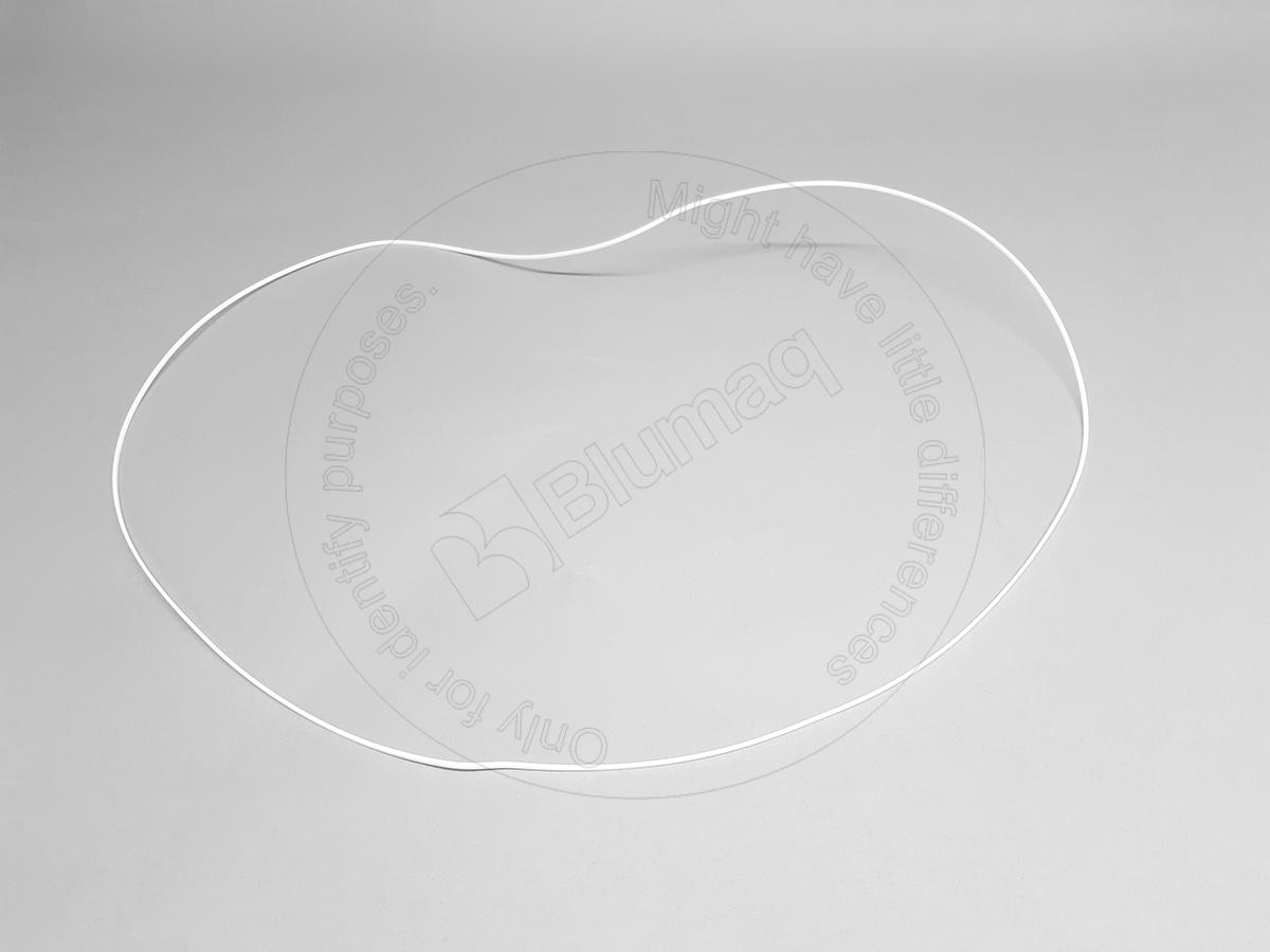 1S6478 ST СЕГМЕНТ