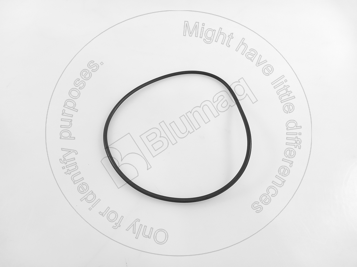 951692 ST КОЛЬЦО КРУГЛОГО СЕЧЕНИЯ