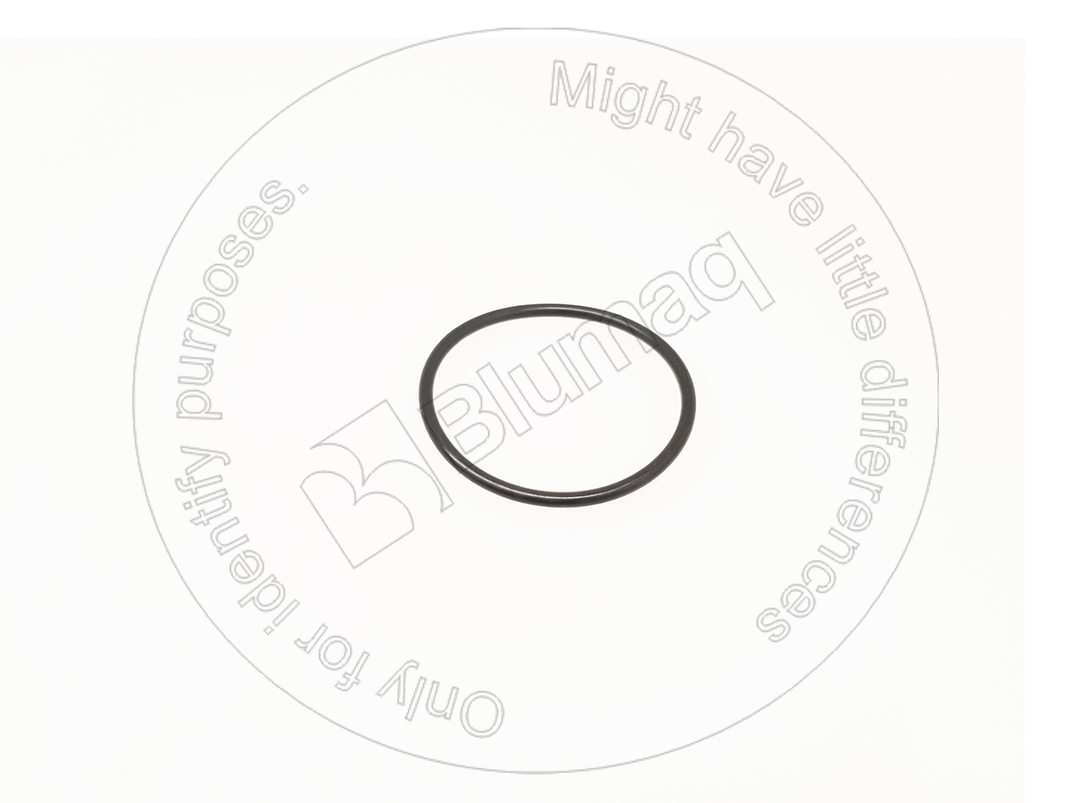 0777319 BQ УПЛОТНИТЕЛЬНОЕ КОЛЬЦО