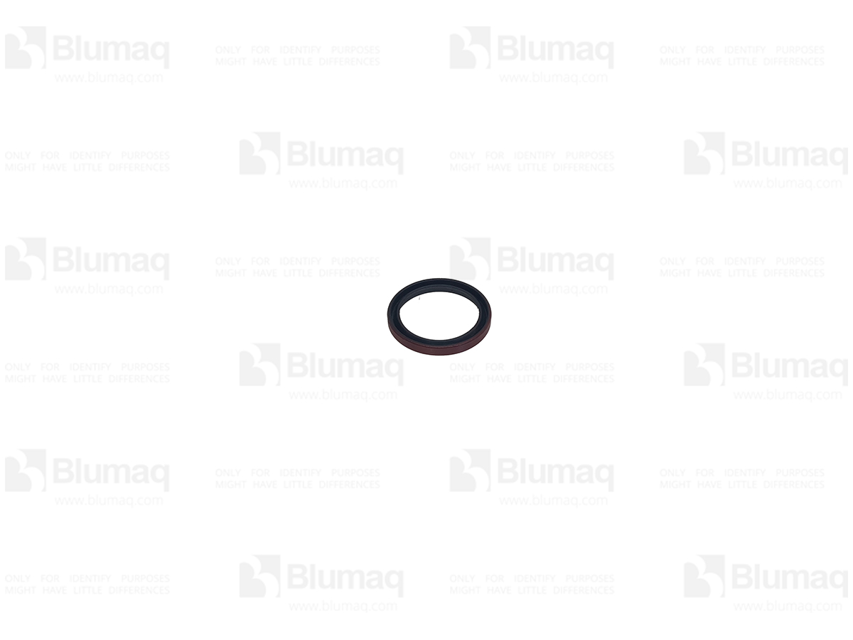 1J1902 ST САЛЬНИК