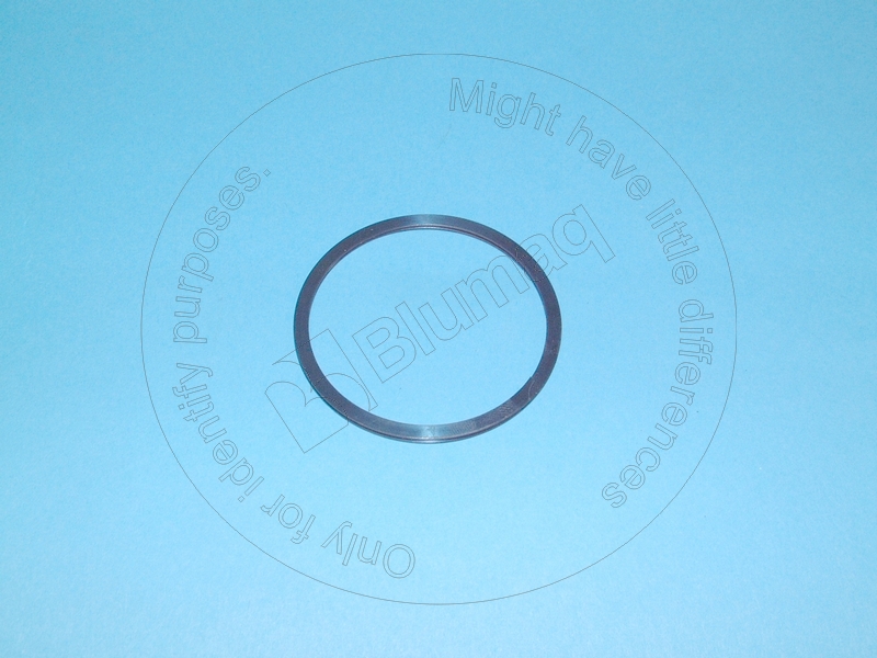 6V3935 OE КОЛЬЦО