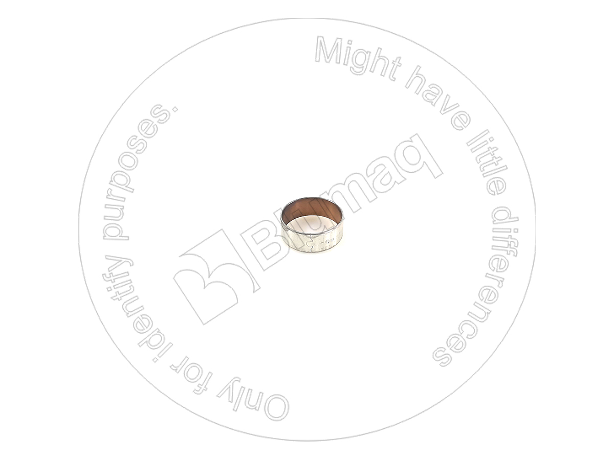 6210316120 OR BEARING