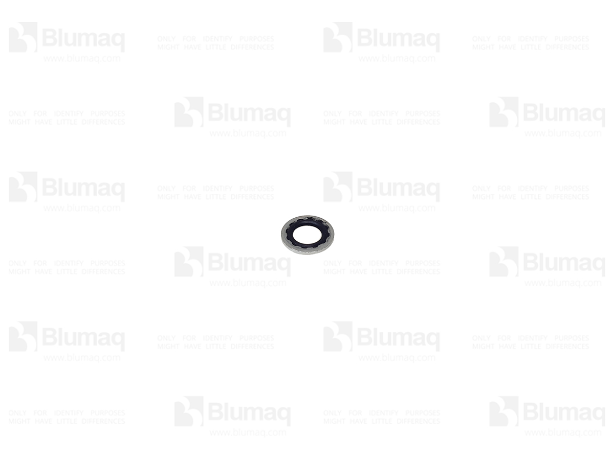 4P3684 OR ШАЙБА