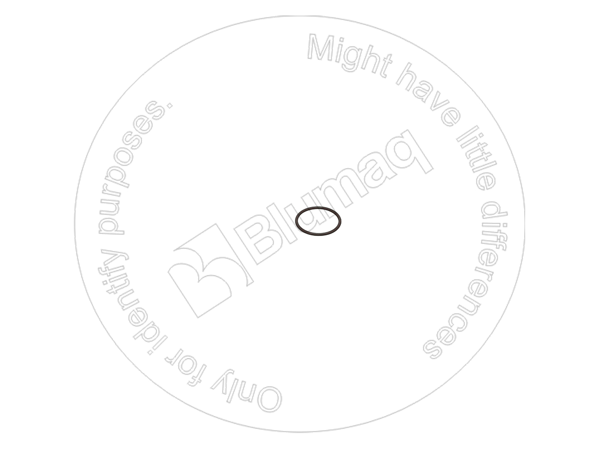 1069586 ST КОЛЬЦО КРУГЛОГО СЕЧЕНИЯ