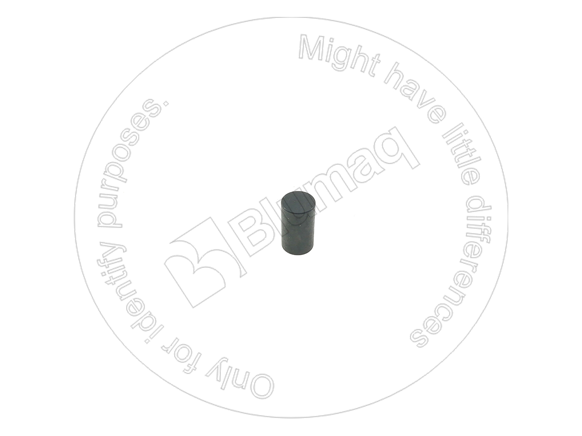 1T0956 OR РОЛИК