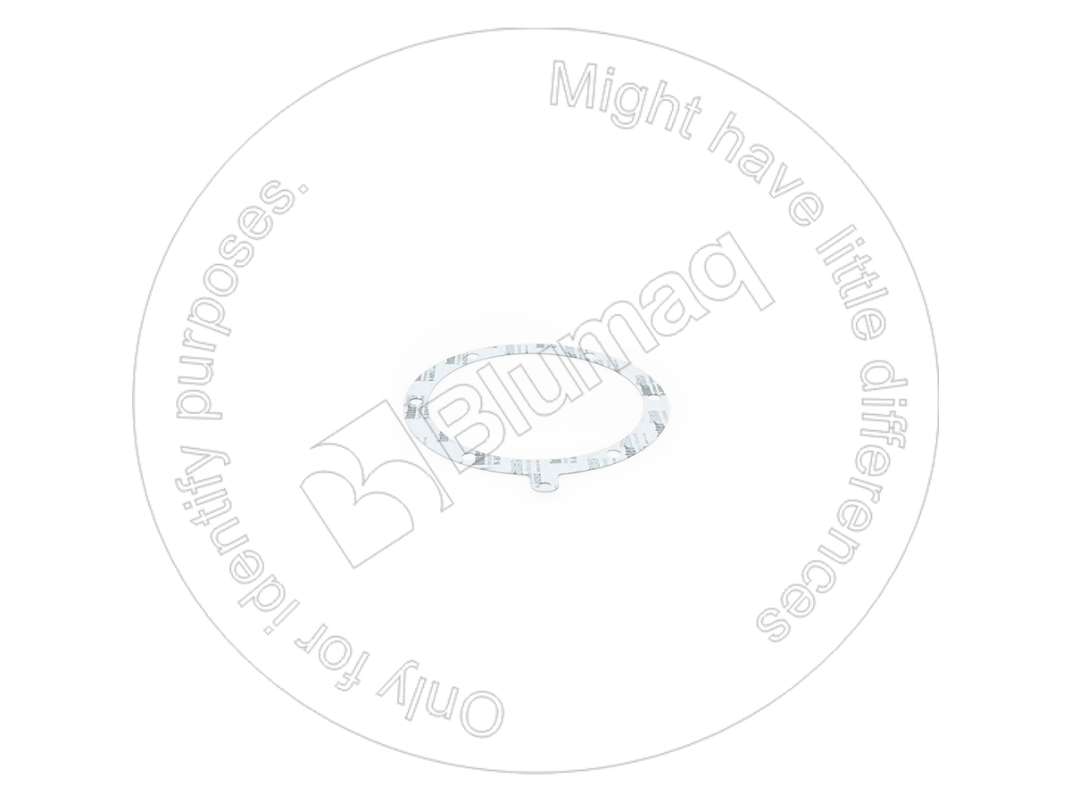 4H8891 BQ ПРОКЛАДКА