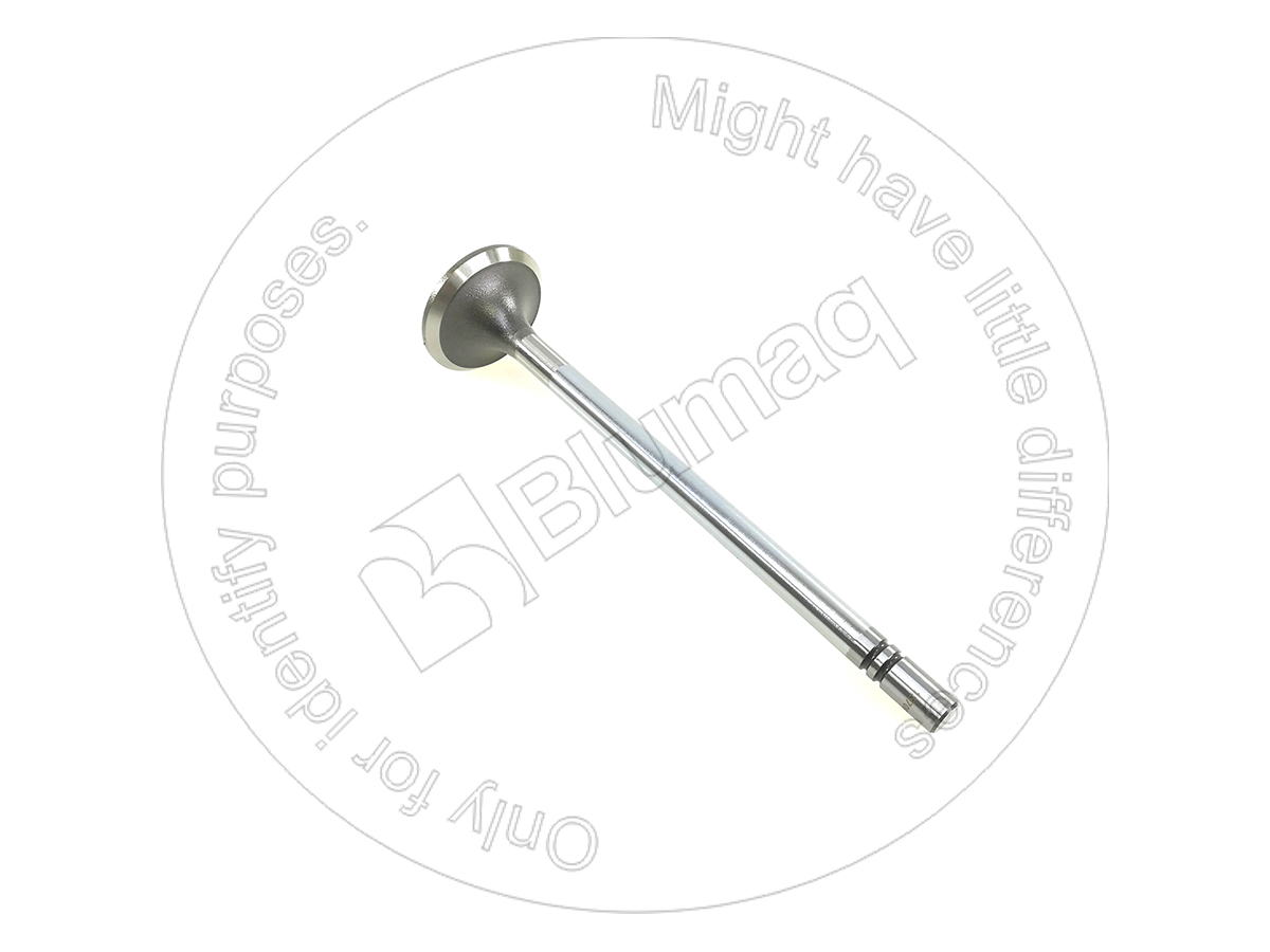 1095334 BQ ВЫПУСКНОЙ КЛАПАН