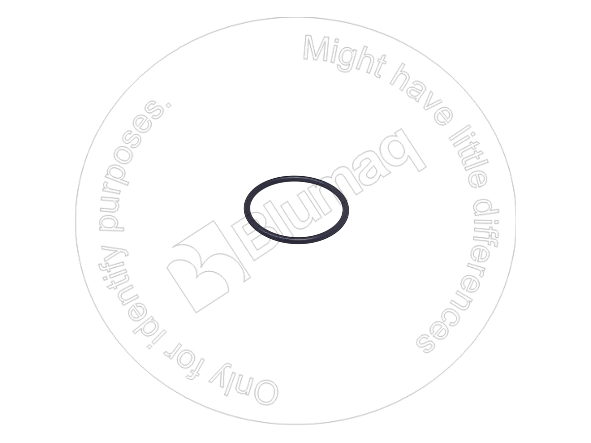 21D0969180 BQ КОЛЬЦО КРУГЛОГО СЕЧЕНИЯ