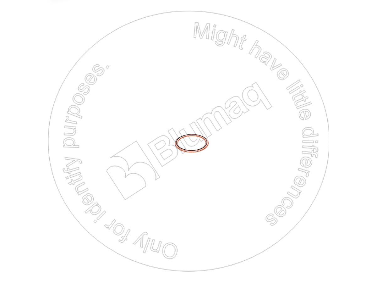 6C0738 ST ШАЙБА