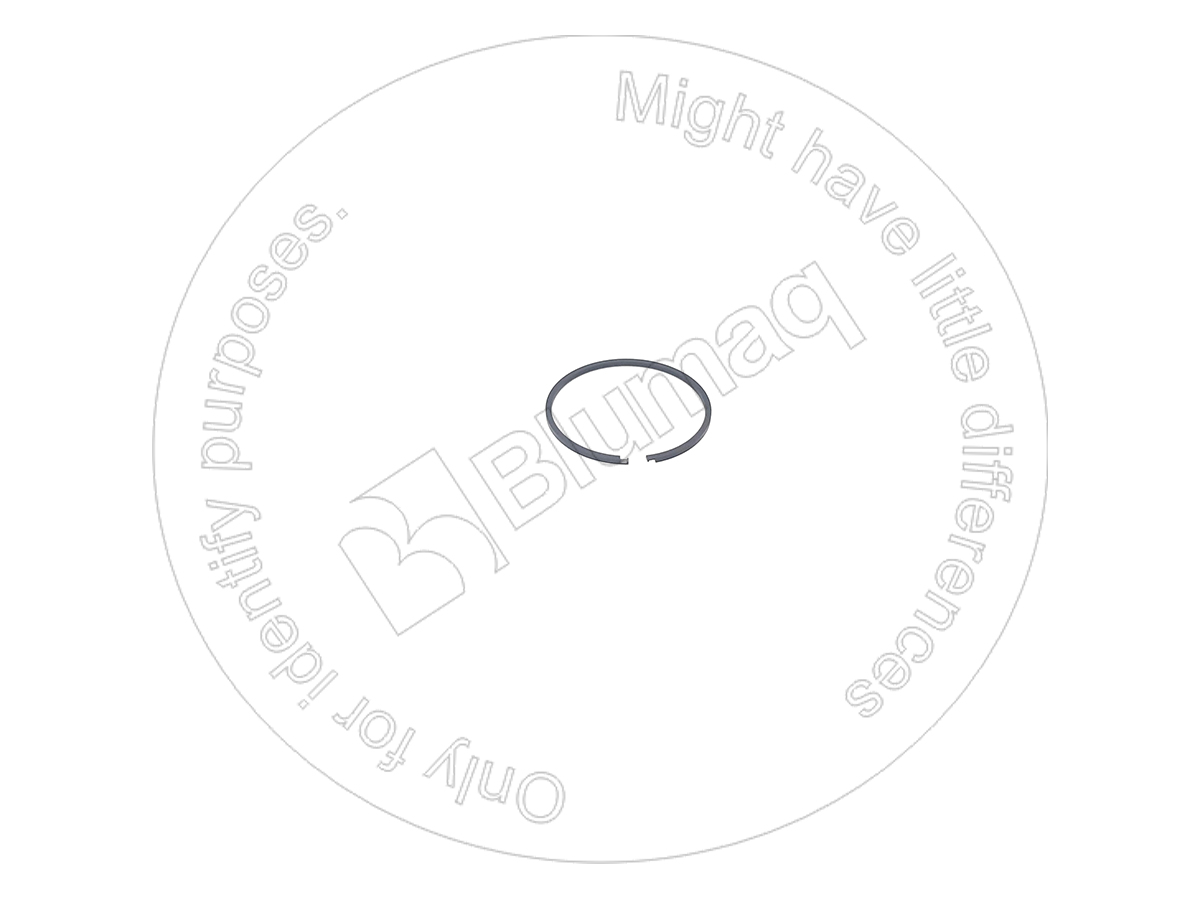 3P7019 ST КОЛЬЦО УПЛОТНИТЕЛЬНОЕ