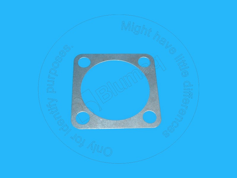 1307013 BQ ПЛАСТИНА