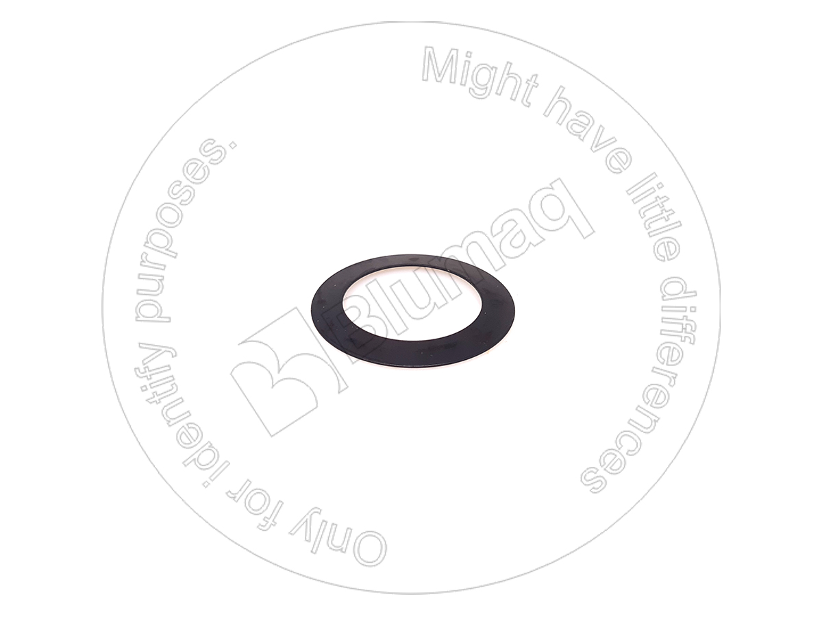 2094219 OE ШАЙБА