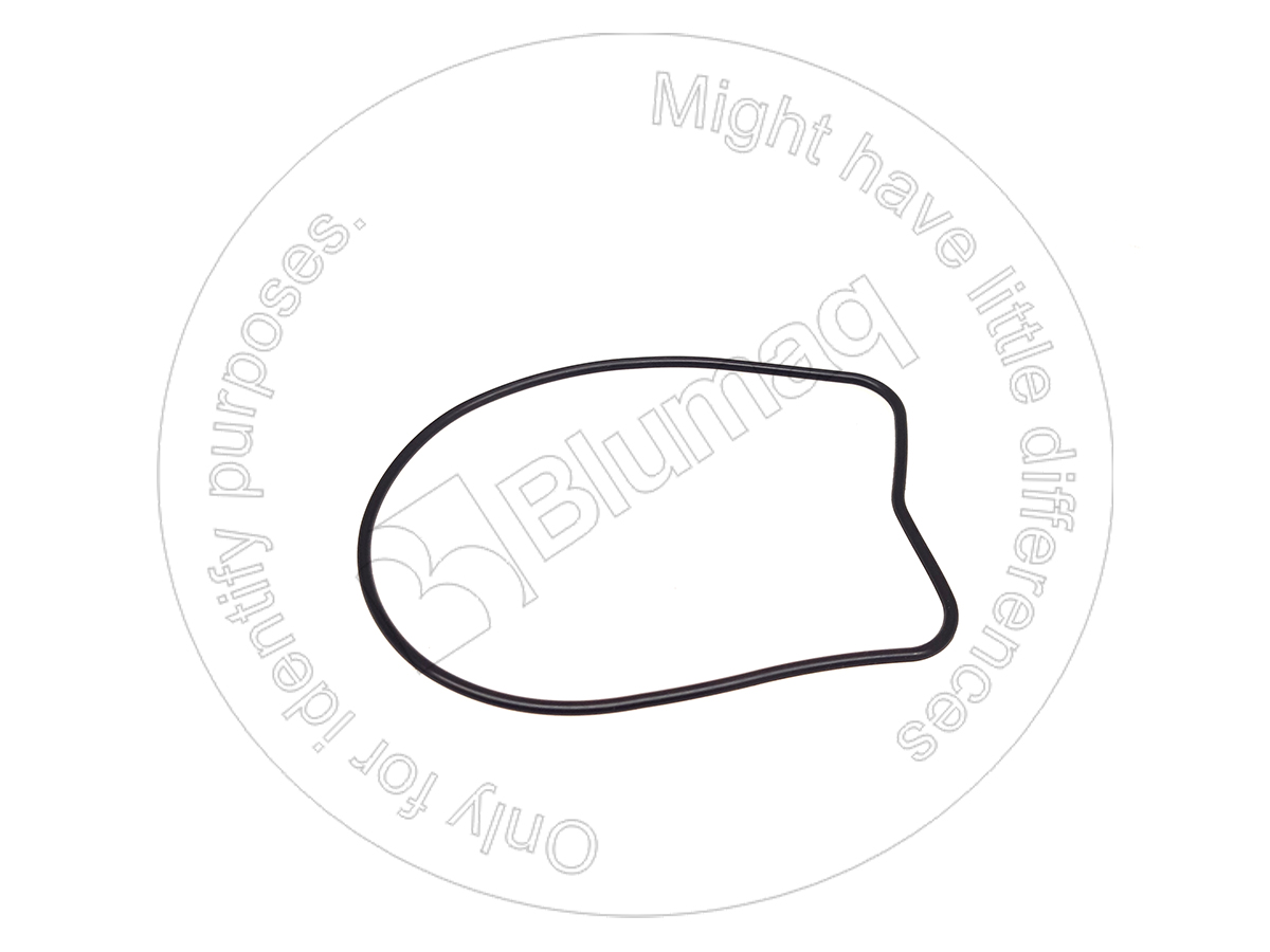 1100004 ST САЛЬНИК