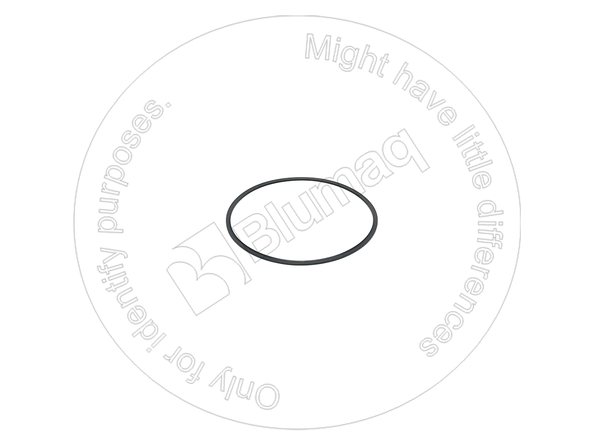 1S0669 ST КОЛЬЦО КРУГЛОГО СЕЧЕНИЯ