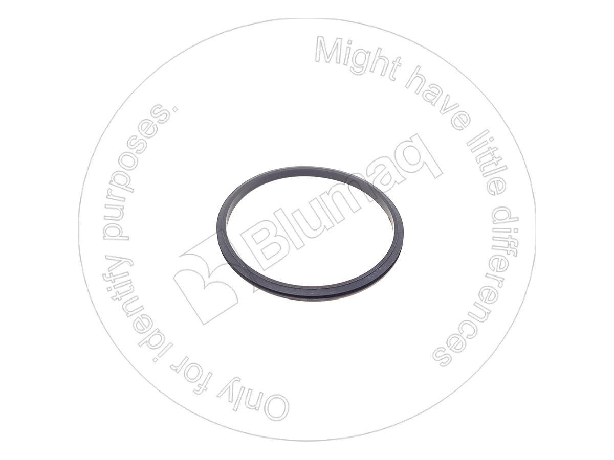 3622915 BQ САЛЬНИК