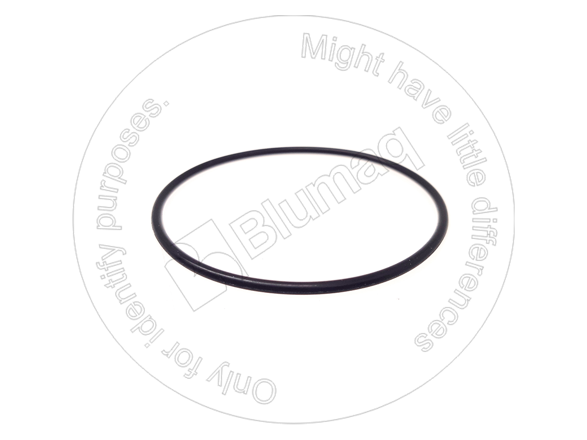 773475 ST КОЛЬЦО КРУГЛОГО СЕЧЕНИЯ